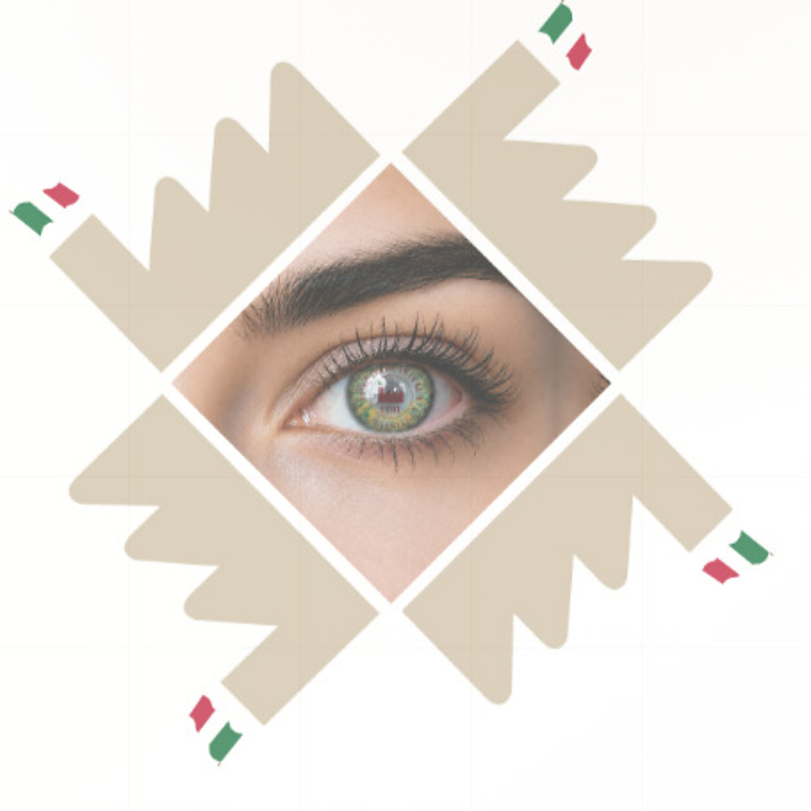 XEXPO.it nuovo sistema professionale per l'export